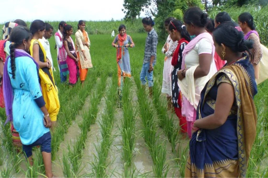 युवा महिलाओं को एक क्षेत्र में प्रशिक्षित किया जा रहा है-ग्रामीण युवा
