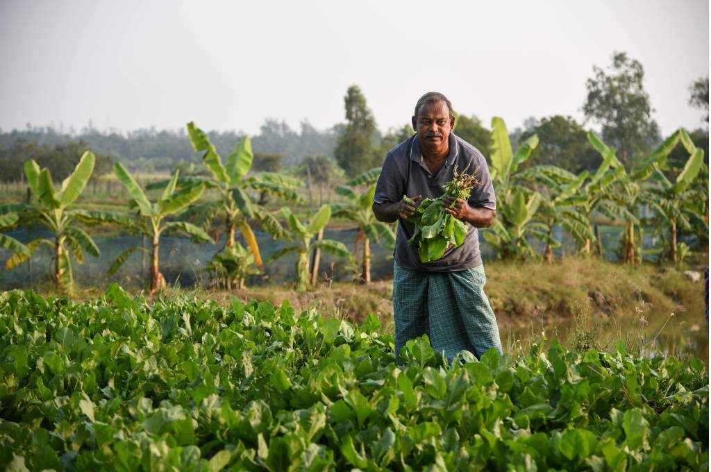 बागुरन जलपाई के एक पारंपरिक मछुआरे देवव्रत खुटिया की प्रोफ़ाइल, जो अपने खेत में काम कर रहे हैं-मछुआरा समुदाय आजीविका
