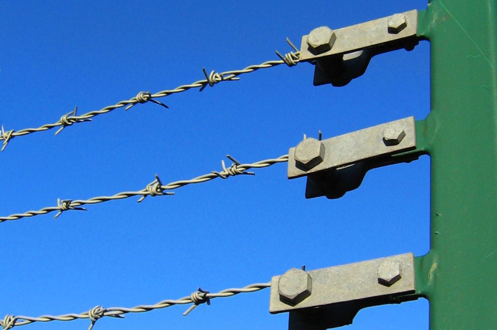 कांटेदार तार_समाजसेवी संगठन