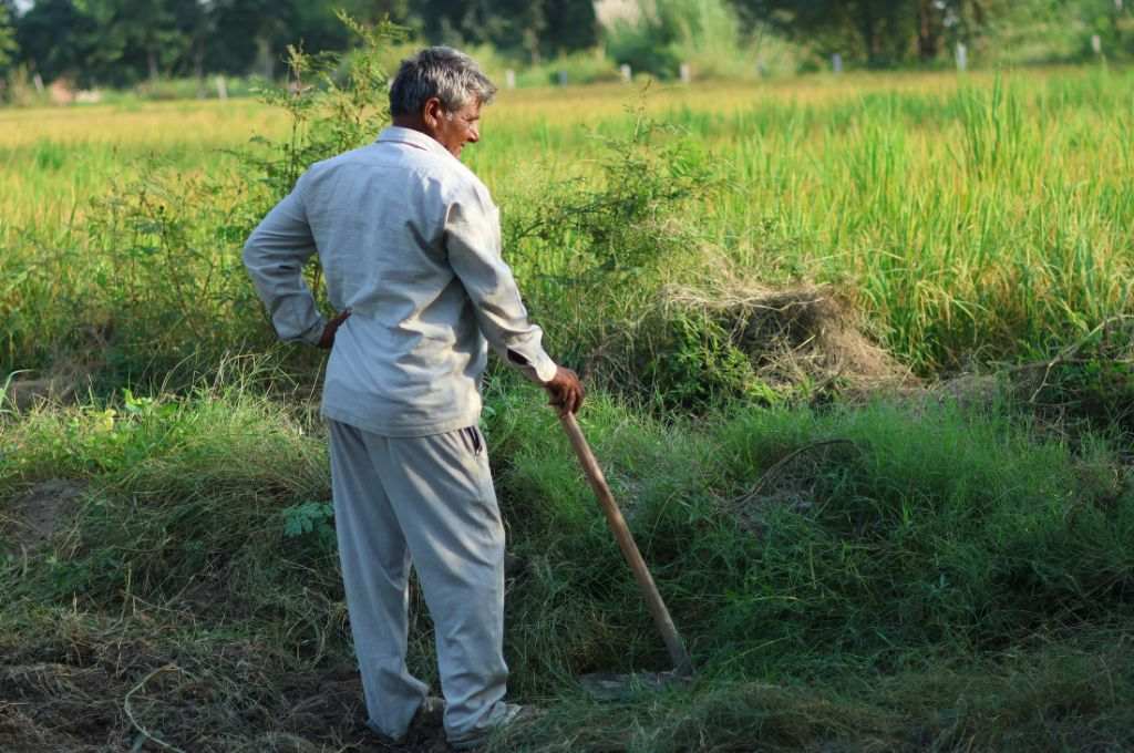 अपने खेत को देखकर चिंतित किसान_अनियमित मौसम और खेती