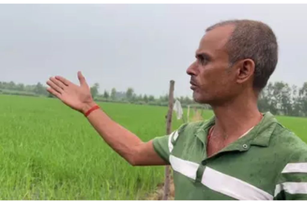 अपने खेत को देखता एक किसान_अनियमित मौसम और खेती