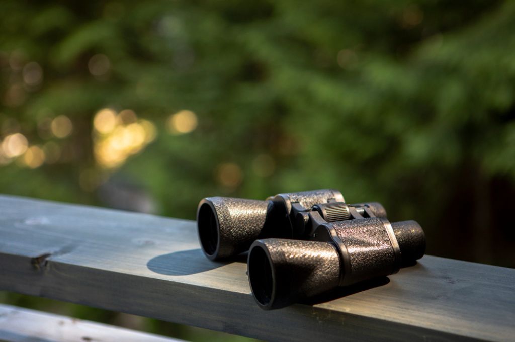 दूरबीन_समाजसेवी संस्थाएं