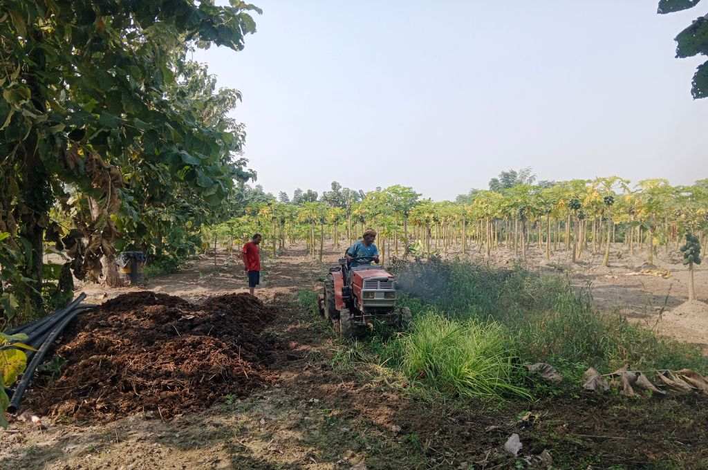 ट्रैक्टर से खेती करता किसान_नकद खेती