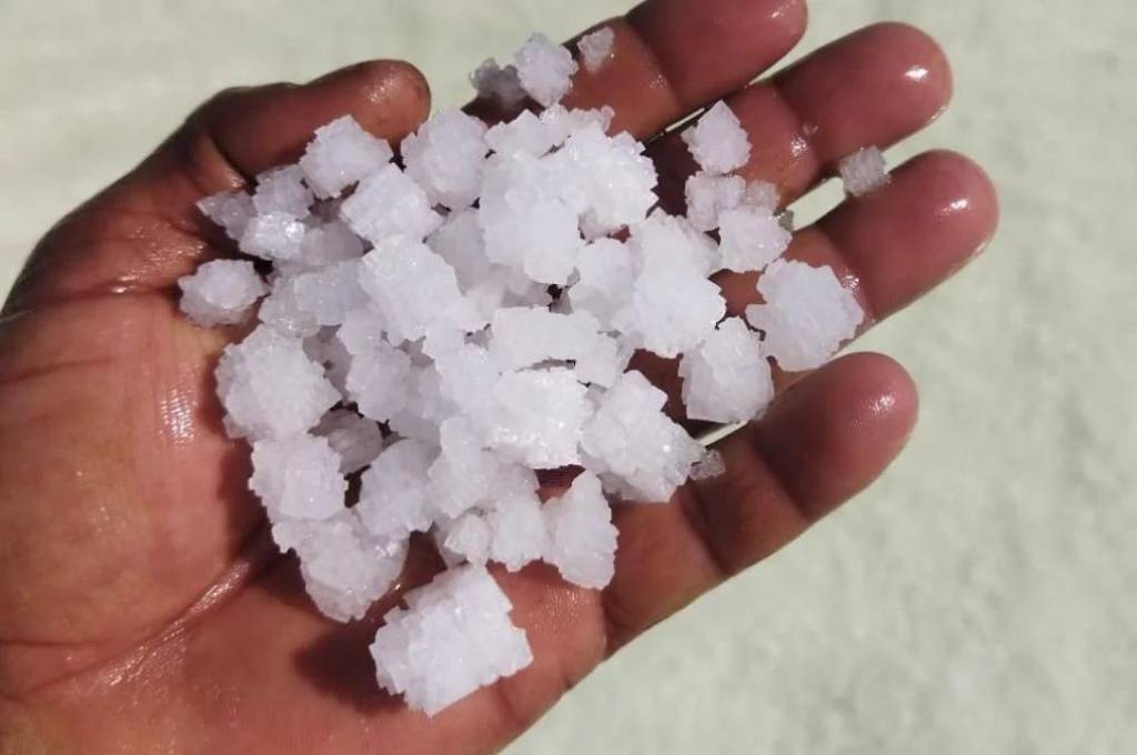 हाथ में नमक के टुकड़े_नमक श्रमिक