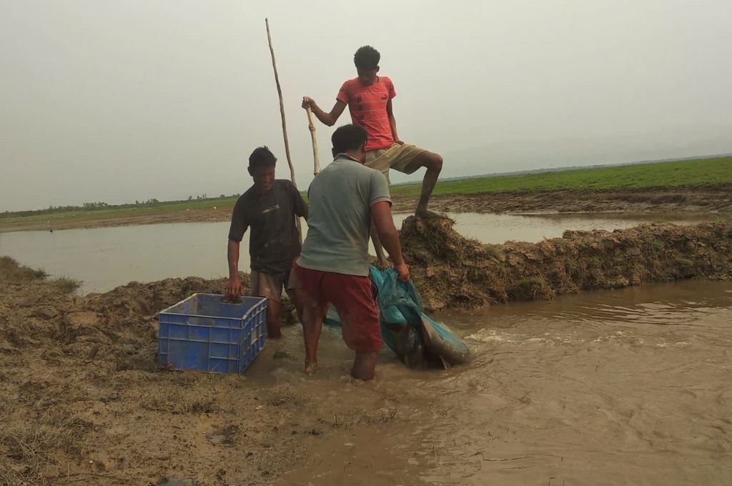 मछली पकड़ते कुछ लोग_प्रवासी मछुआरे