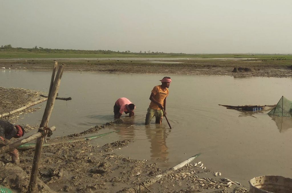 मछली पकड़ते लोग_प्रवासी मछुआरे