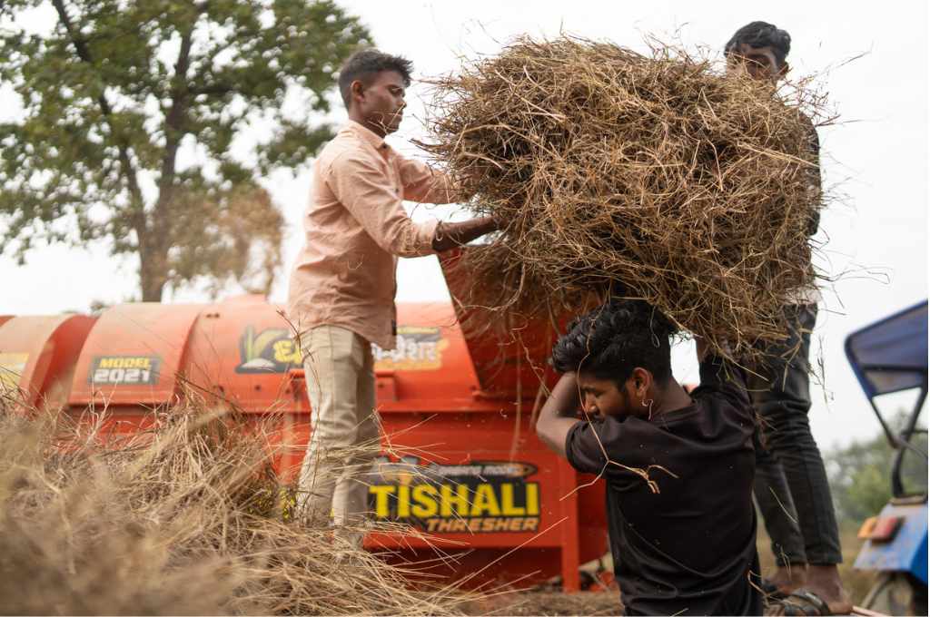 धान निकालते कुछ किसान_मिलेट किसान 