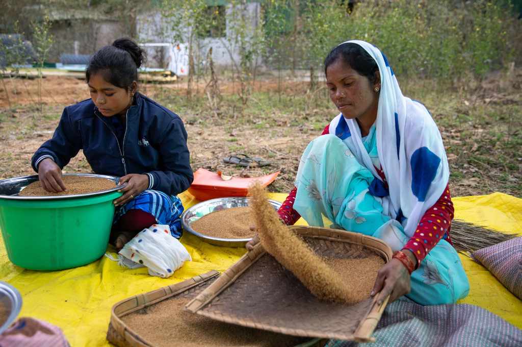 धान बिनती महिलायें_मिलेट किसान 