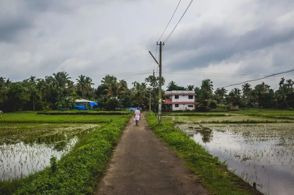 खेत में काम करती महिलाएं_कॉमन्स
खेत की पगड़गी से गुजरता व्यक्ति_कॉमन्स