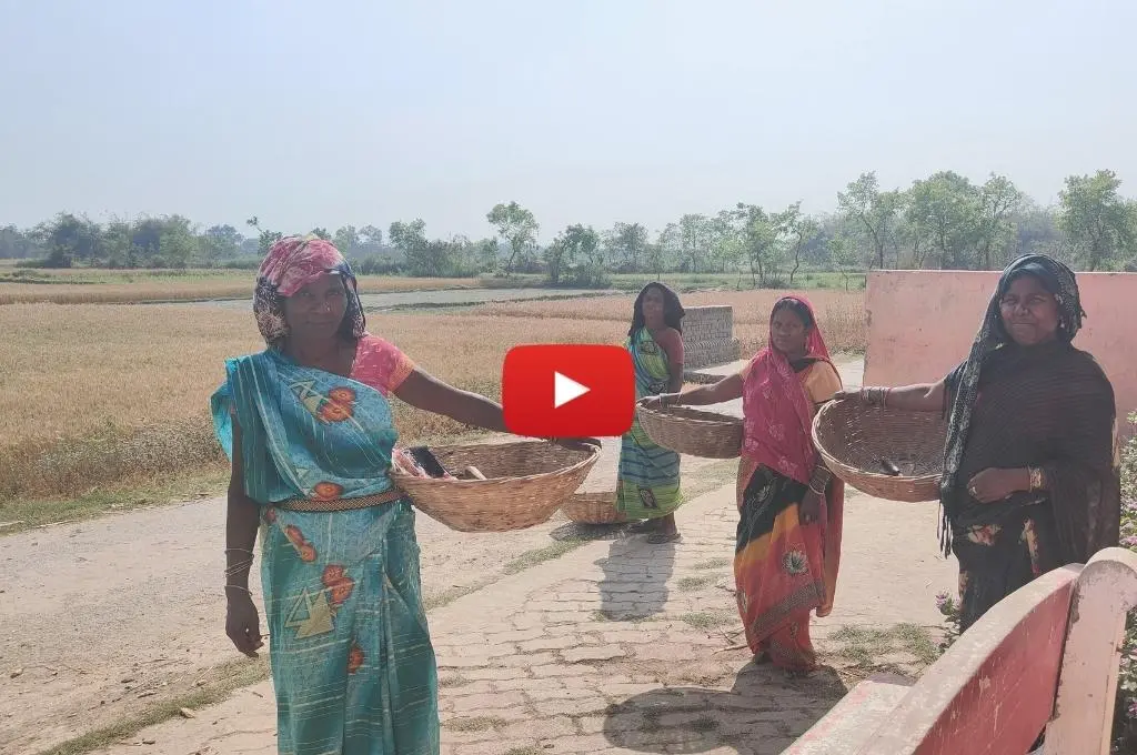 तस्वीर में महिला किसान हैं_​खेतिहर मजदूरी