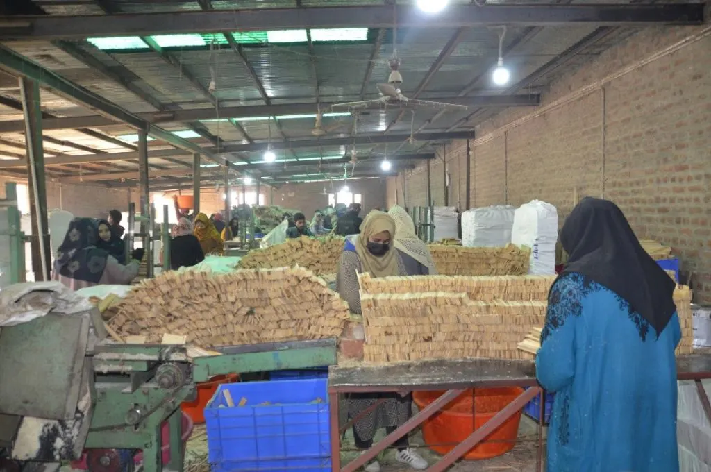 फैक्ट्री में लकड़ी से पेंसिल बनाने की प्रक्रिया में लकड़ियां _पेंसिल उद्योग