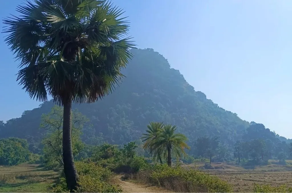 एक परिदृश्य जिसमें पहाड़, पेड़ और सड़क नजर आ रहे हैं_ताड़ी 