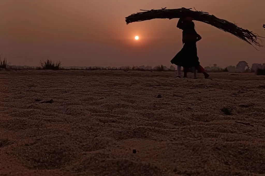 एक महिला अपने सिर पर एक गट्ठर रख के ले जा रही है_ताड़ी