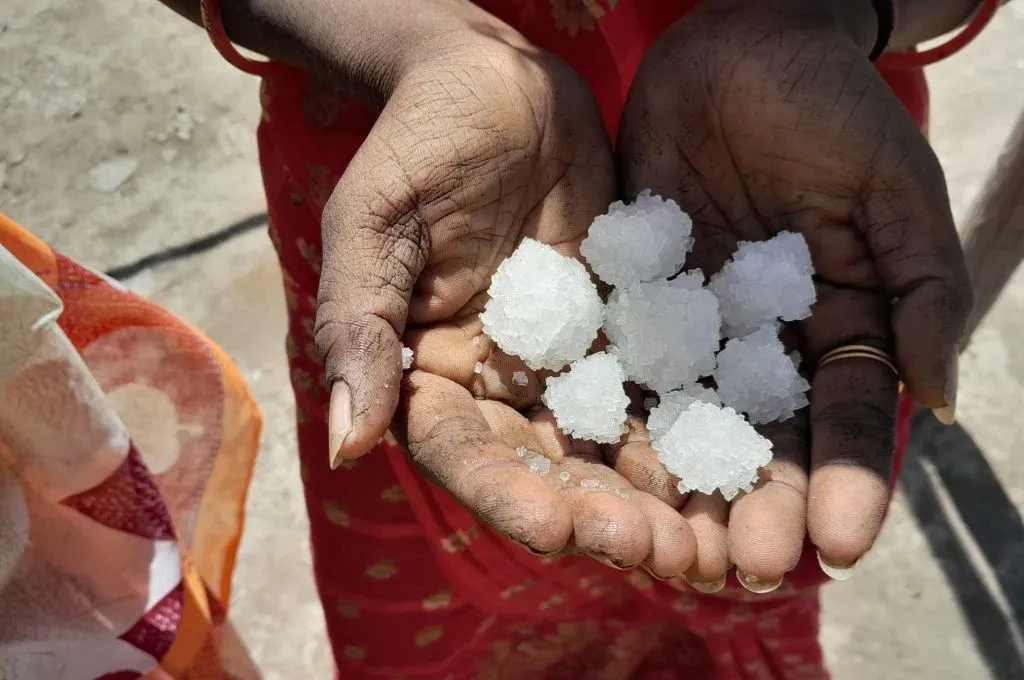 एक महिला किसान के हाथों में नमक के ढेले रखे हुए हैं_सॉल्ट पैन