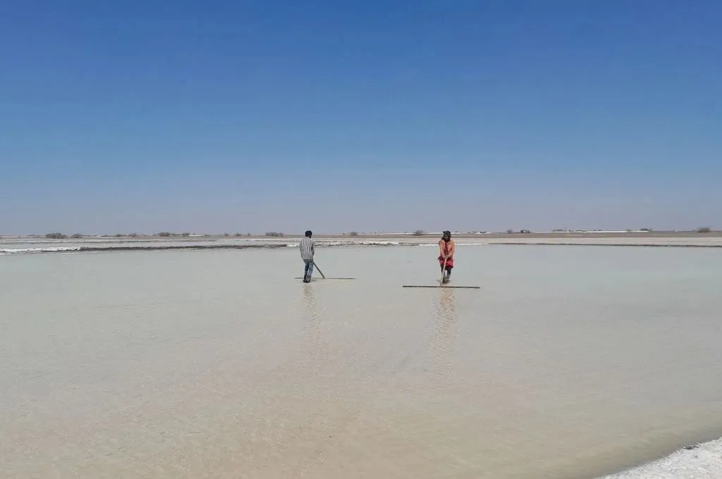 नमक तैयार करने की प्रक्रिया में एक महिला और एक पुरुष ज़मीन पर फैलाए हुए नमक के कणों को पलटने का काम कर रहे हैं_सॉल्ट पैन