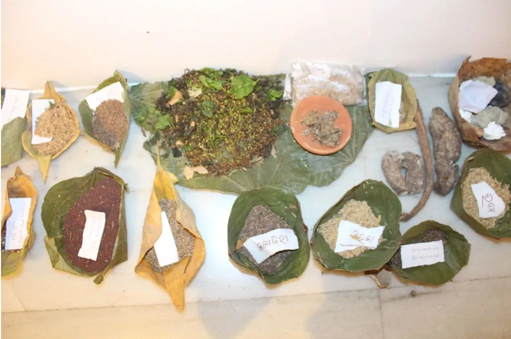 पत्तों पर रखे हुए जंगलों से मिलने वाले छोटे उत्पाद_वन अधिकार