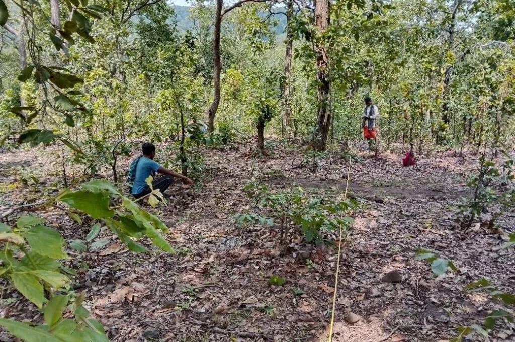 बैगा समुदाय: जंगल हमारे बिना नहीं, हम जंगल के बिना नहीं