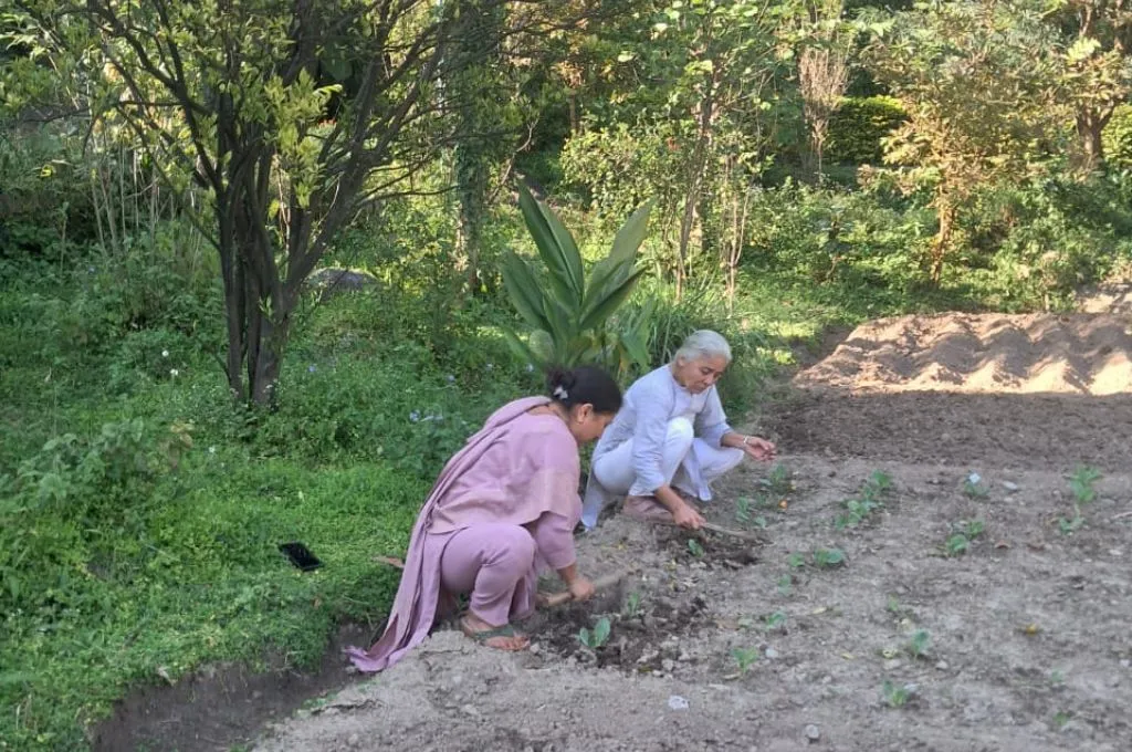 बहेड़ा, कालमेघ और कांगड़ा के एक गांव में भरोसे की शुरुआत      