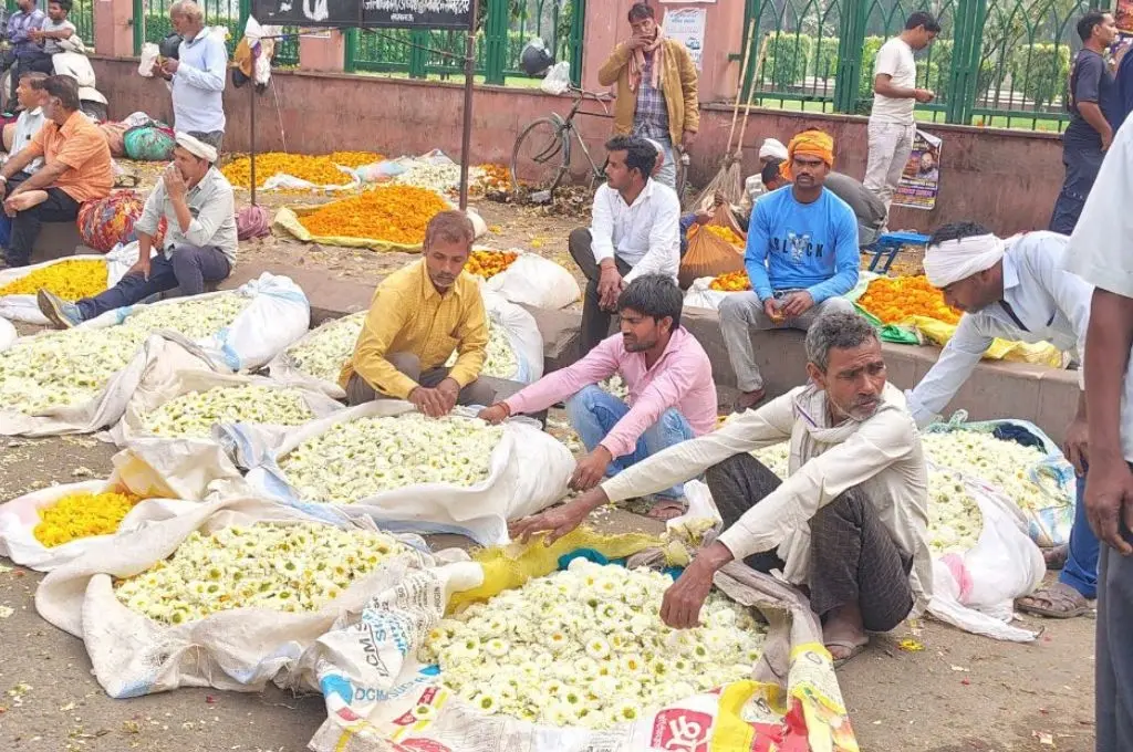 मंडी में बिक्री का इंतजार करते किसान_फूलों की खेती