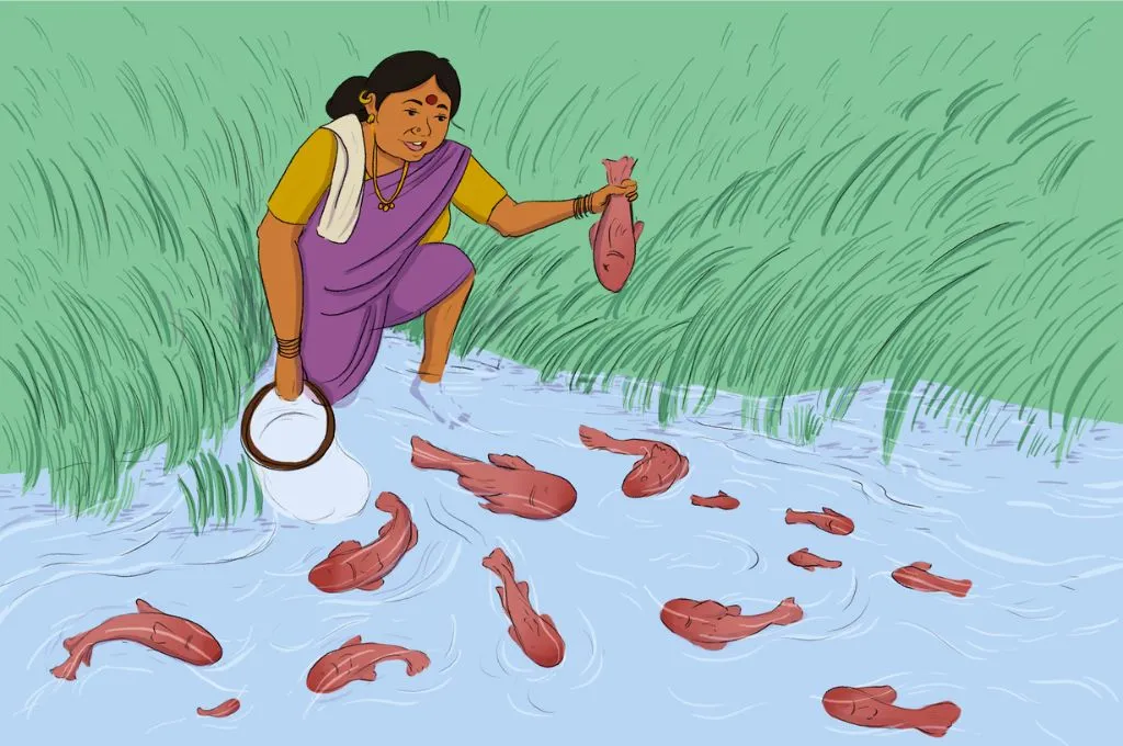 चित्र में मछली पकड़ती महिला_बाढ़